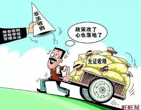 糧食收購(gòu) 筑牢糧食安全的第一道防線
