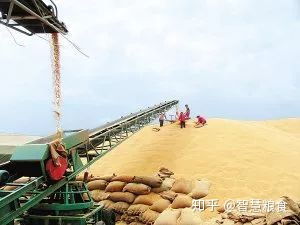 鄉(xiāng)村私人糧食收購(gòu)站 糧食流向與盈利模式探析